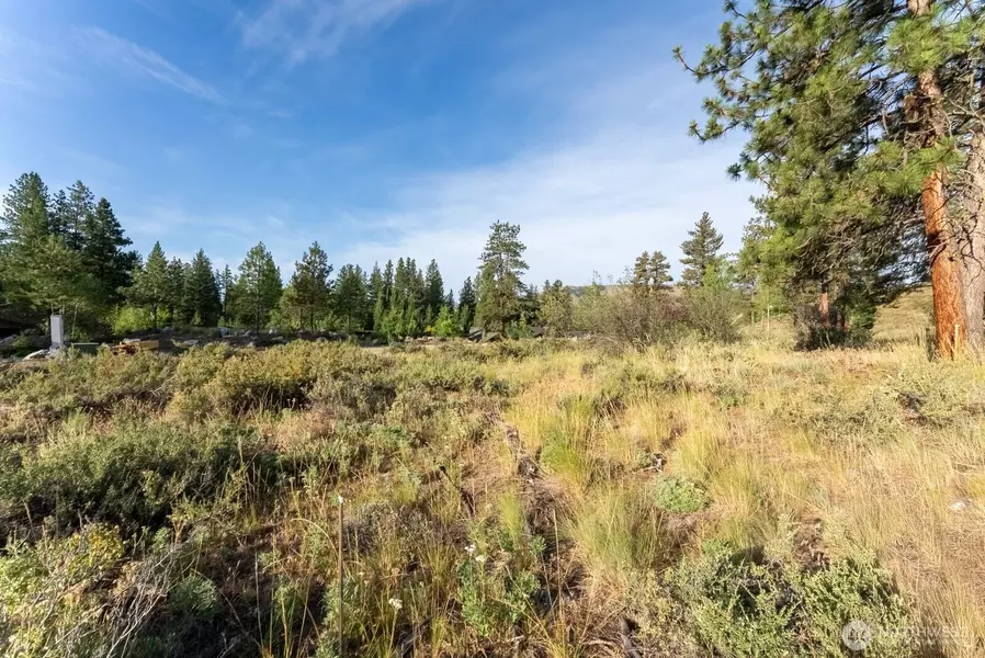 615 Pine LOOP, Winthrop, WA 98862