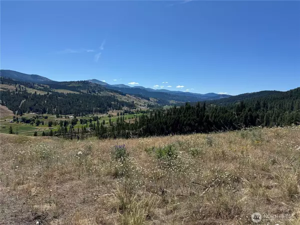 Curlew, WA 99118,1 A Lundimo Meadows RD