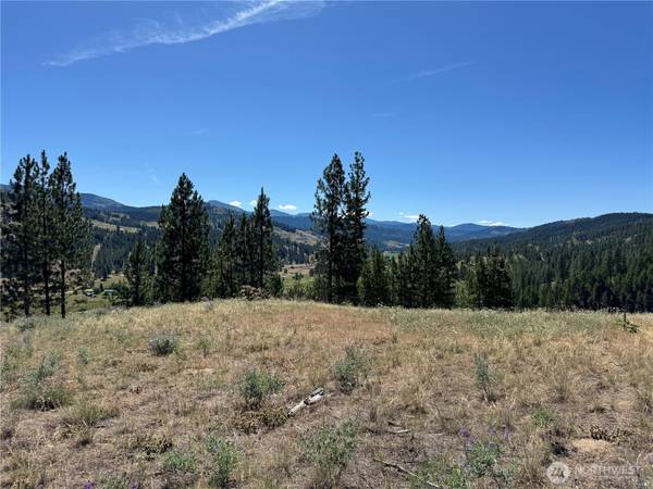 2 B Lundimo Meadows RD, Curlew, WA 99118