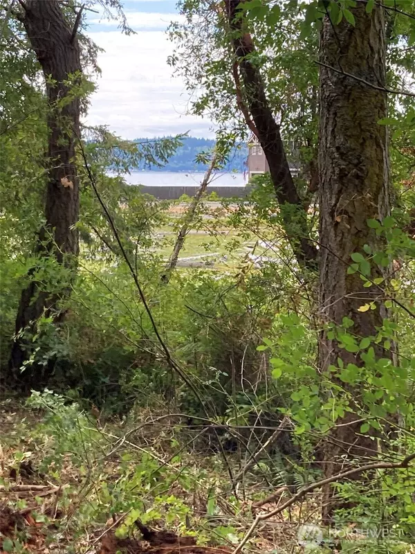 Camano Island, WA 98282,0 Wagner RD
