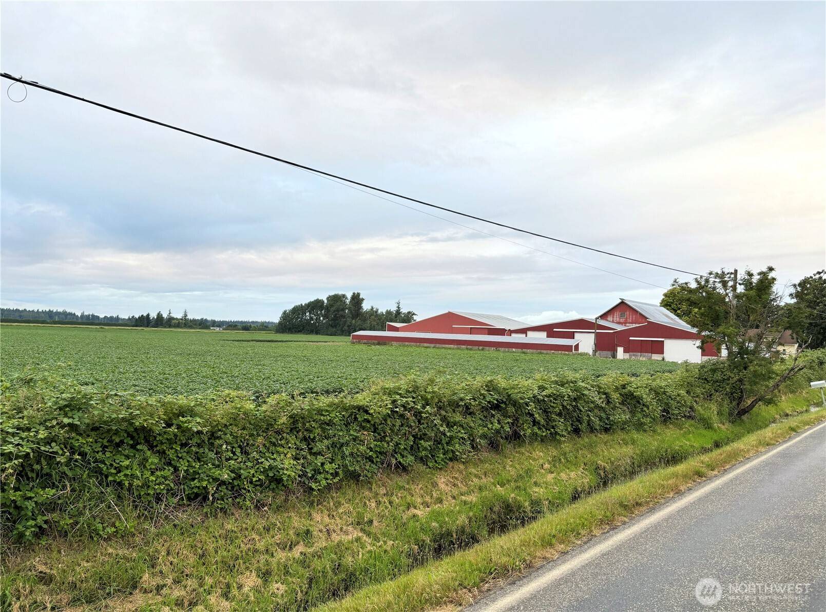 0 Double Ditch RD, Lynden, WA 98264