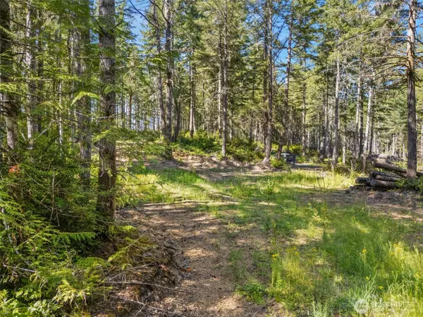 Grapeview, WA 98546,0 TR 4 E Mason Lake RD