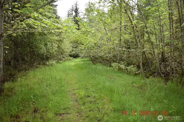 0 Lot 40 Township Line RD, Port Angeles, WA 98362