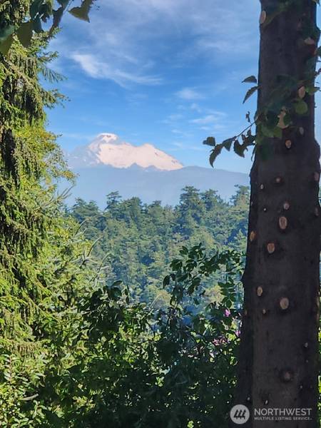 4985 Bakerview RD, Oak Harbor, WA 98277