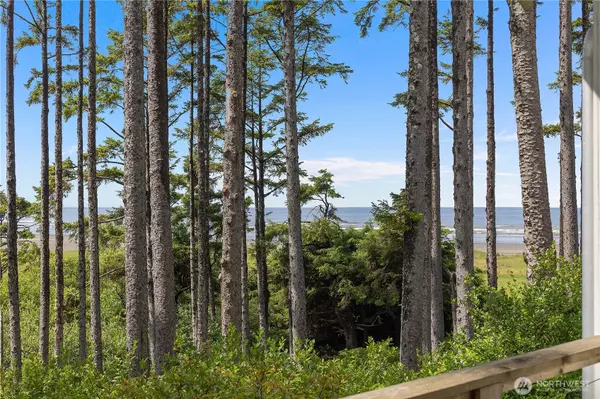 Pacific Beach, WA 98571,46 Seaside LN