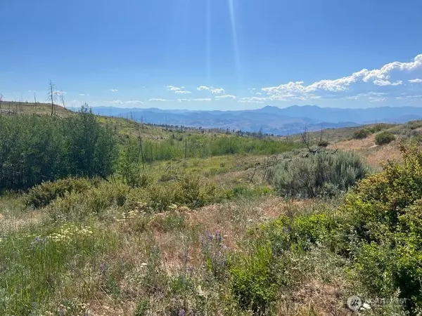 0 Lot 12 Lone Spur RD, Oroville, WA 98844