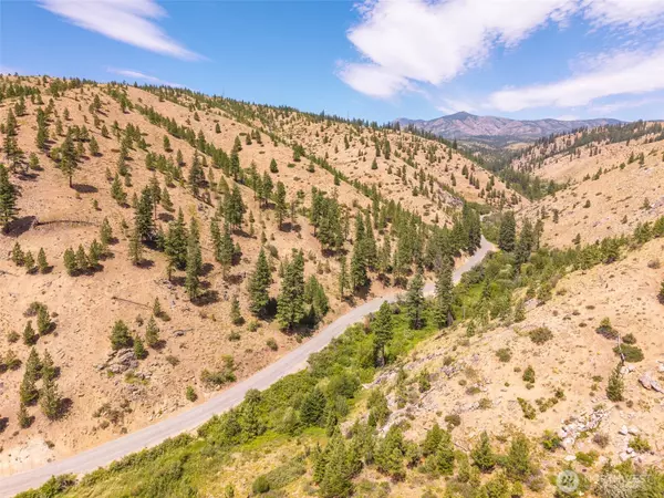 Entiat, WA 98822,2 Lot Mud Creek RD