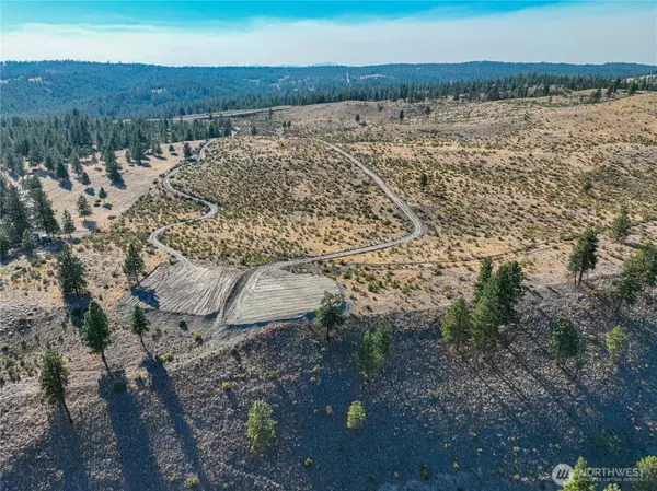 Chelan, WA 98816,0 Evergreen Camp Rd. Parcel C