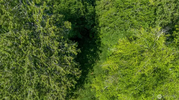 Olympia, WA 98502,7612 Sprucecrest ST SW