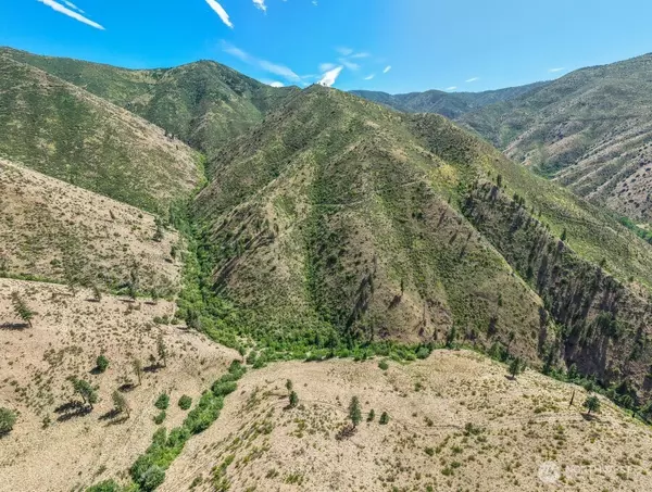 Entiat, WA 98822,4 Lot Mills Canyon RD