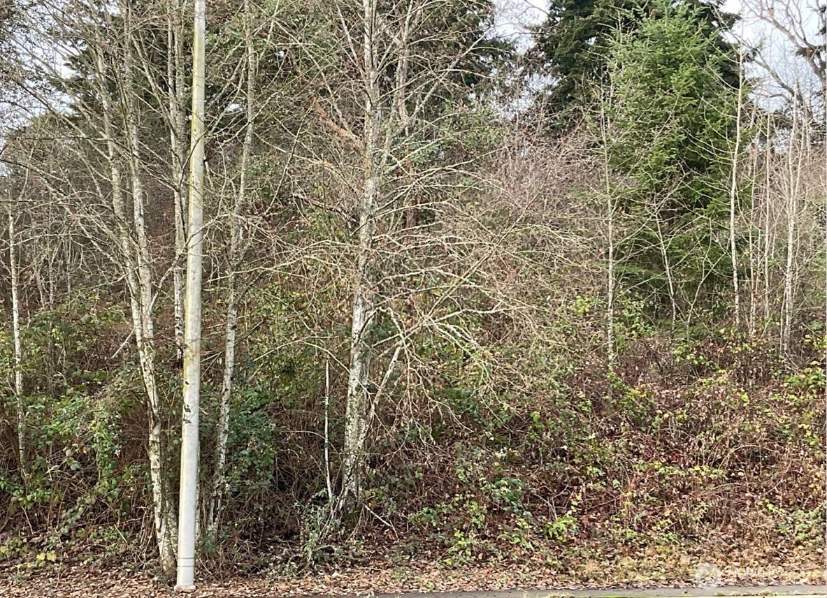 6016 S Tyler ST, Tacoma, WA 98409