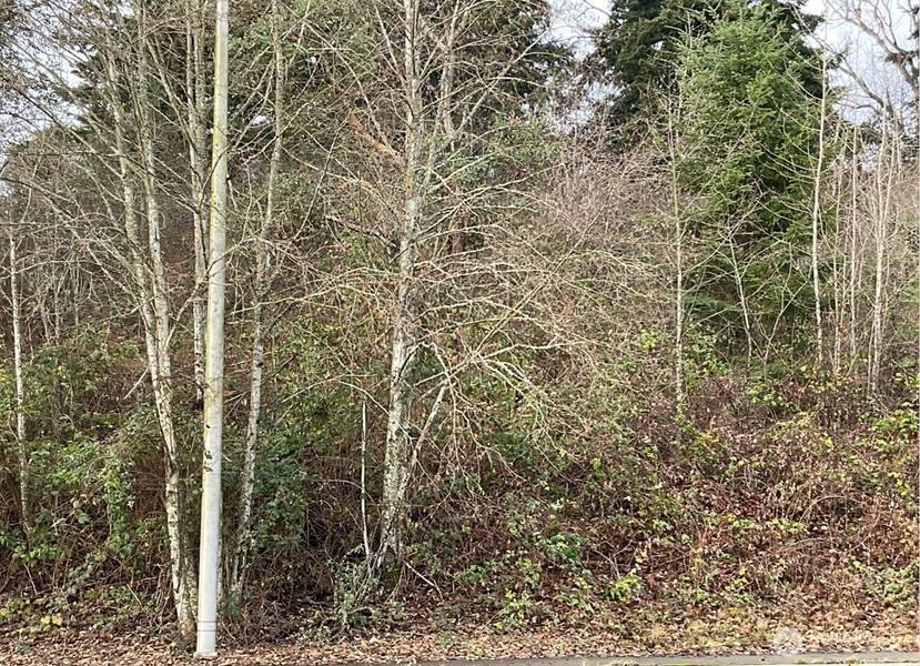 6016 S Tyler ST, Tacoma, WA 98409