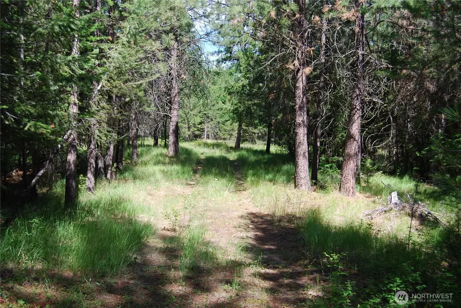 30 -23 Wild Turkey, Riverside, WA 98849