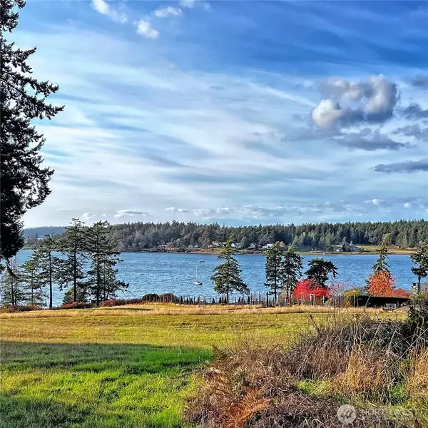 Lopez Island, WA 98261,4 Rum Runner