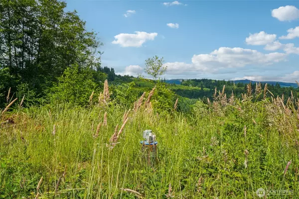 Castle Rock, WA 98611,1830 Hazel Dell RD #Lot 3