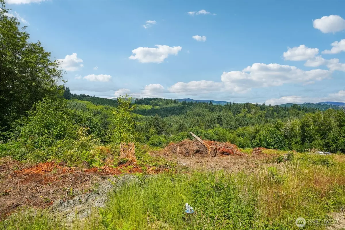Castle Rock, WA 98611,1830 Hazel Dell RD #Lot 3