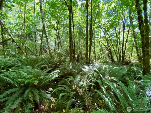 Shelton, WA 98584,0 TR4 SE Wellswood WAY