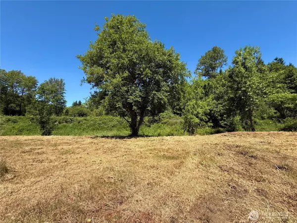 Centralia, WA 98531,129 Sawall