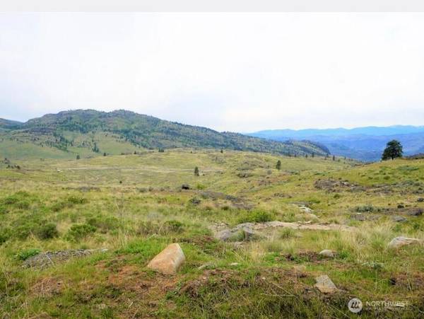 1 Mclaughlin Canyon RD, Tonasket, WA 98855
