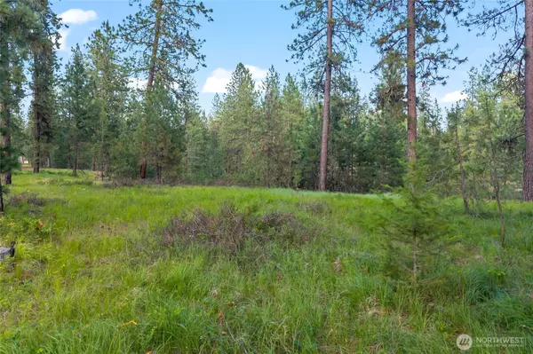 Chewelah, WA 99109,0 5xx Couples CT