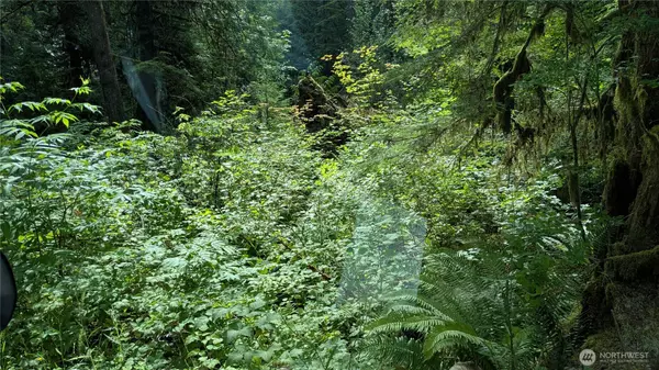 Monroe, WA 98272,7511 Woods Lake