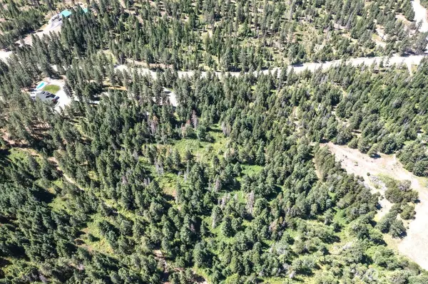 Chewelah, WA 99109,2443 Eagle Lambert RD