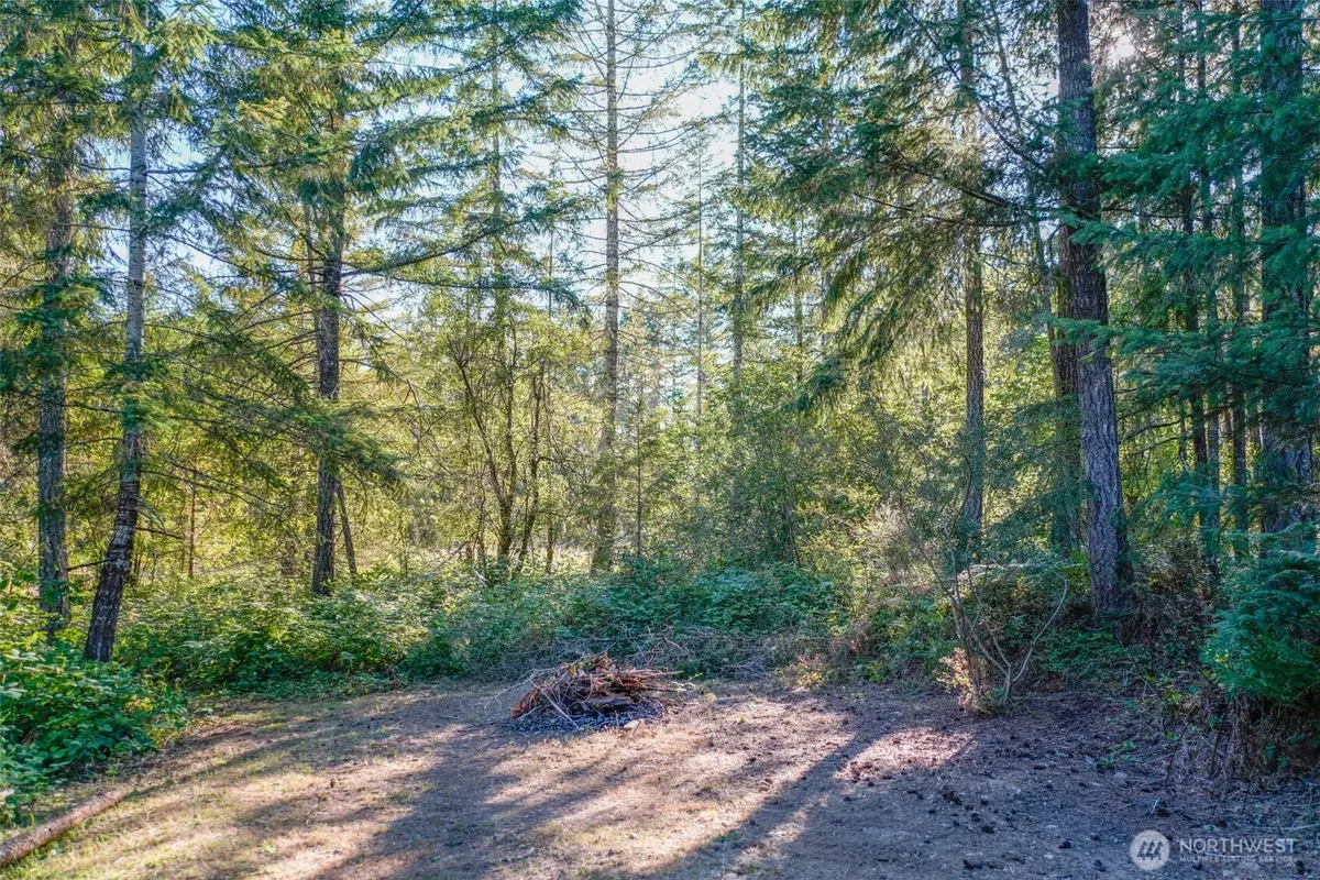 Hoodsport, WA 98548,0 N Silver Lane S