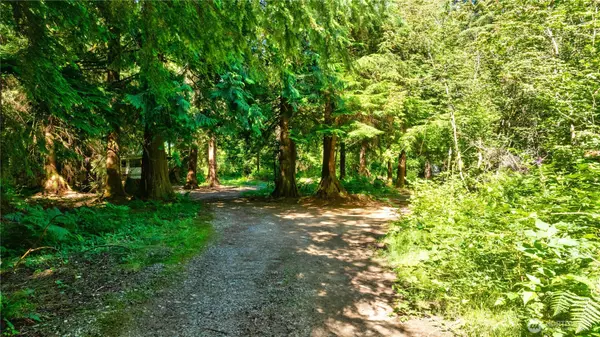 Gold Bar, WA 98251,15528 May Creek RD