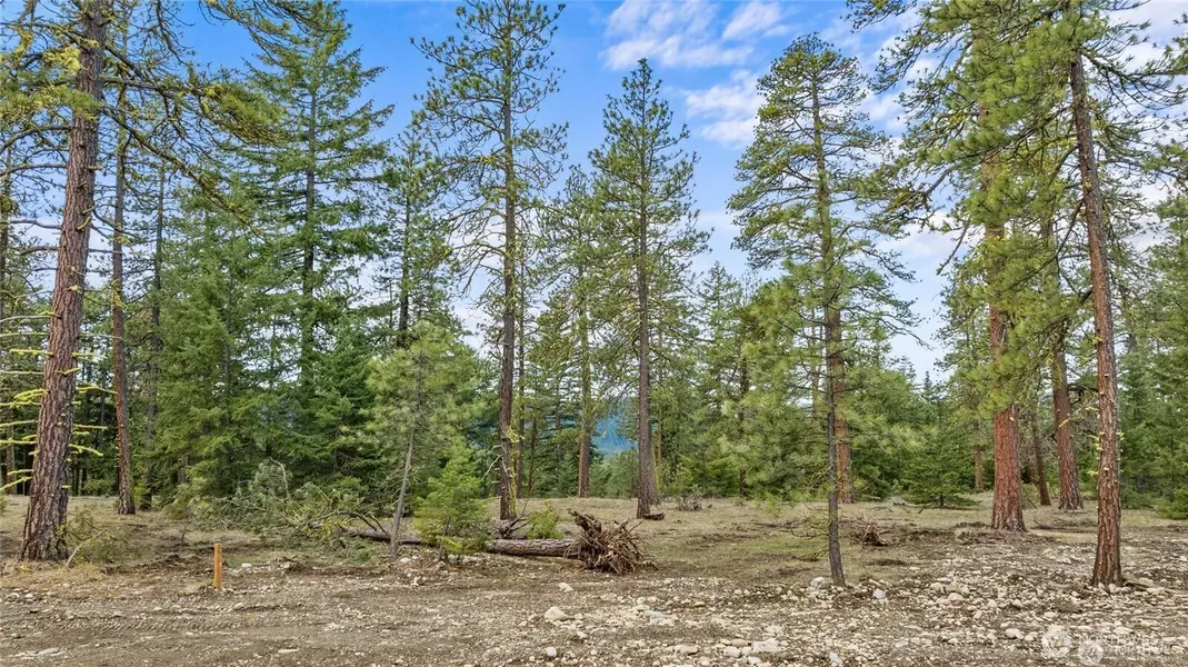 29 Wanawish LOOP, Cle Elum, WA 98922