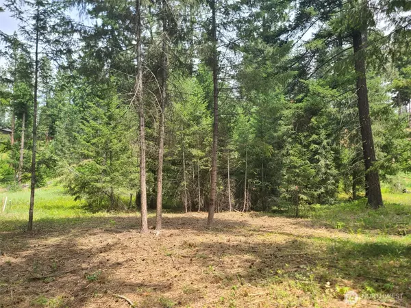 Cle Elum, WA 98922,53 Wanawish LOOP