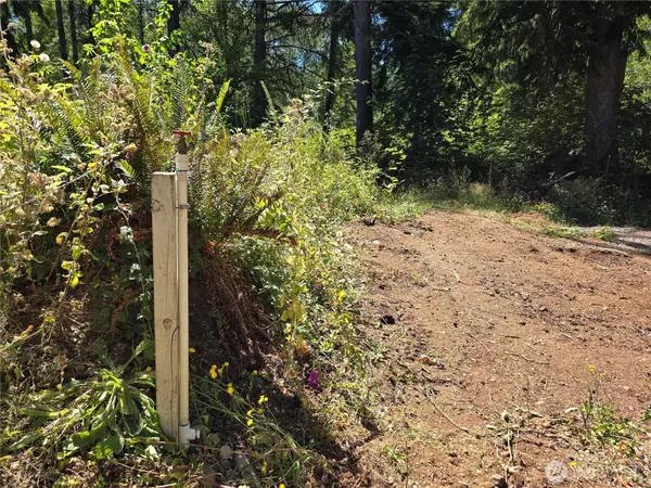 Elma, WA 98541,351 W Haven DR