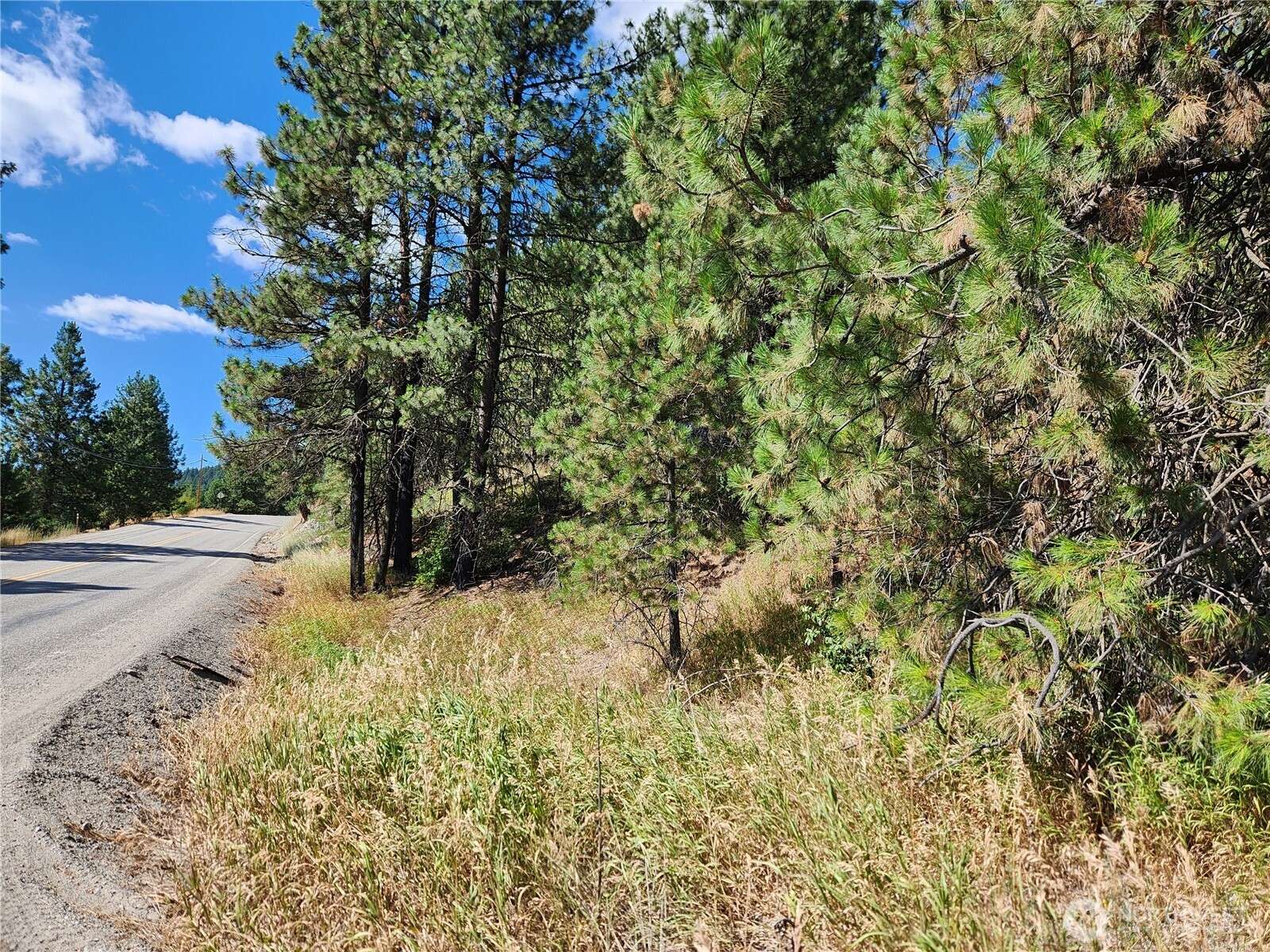 0 Lot 1 Klondike RD, Republic, WA 99166