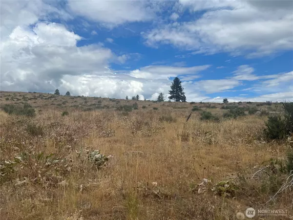 Malott, WA 98829,10 Landers RD