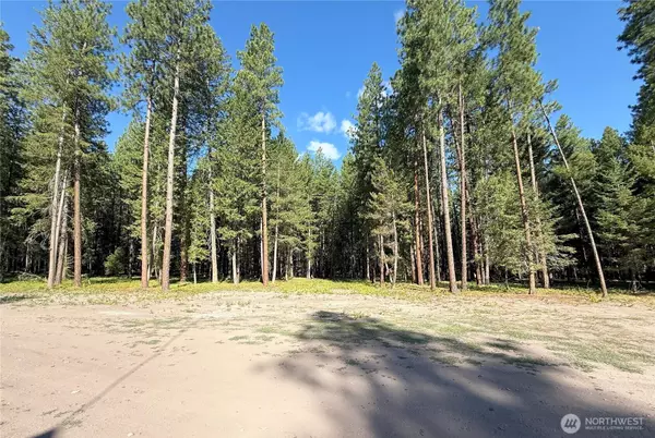 Mazama, WA 98833,41 TBD Davelaar DR