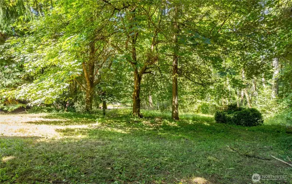 Vader, WA 98593,111 Spring CT