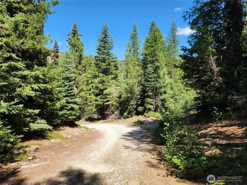 0 XX East Fork Cougar Creek RD, Wauconda, WA 98859
