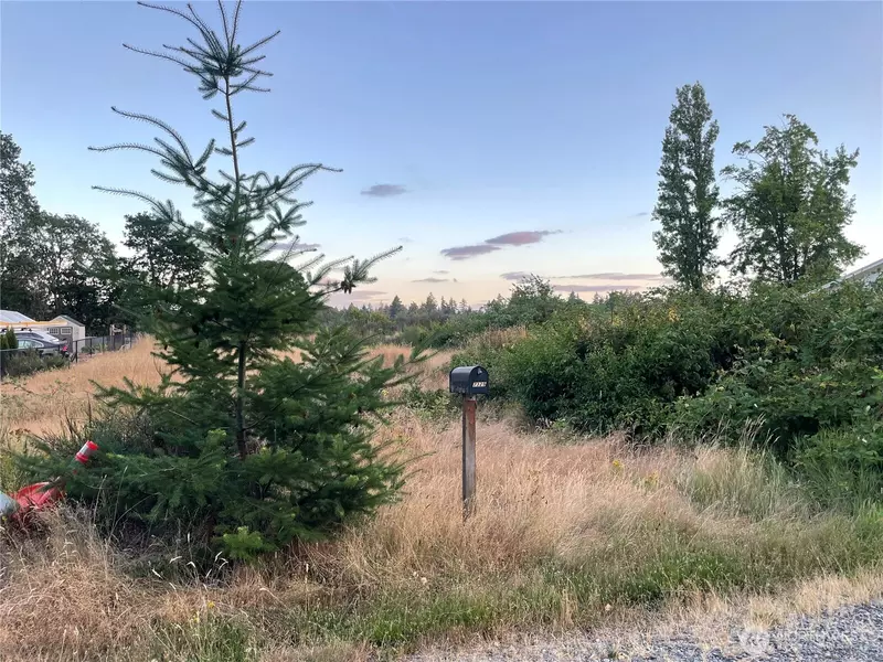 7329 Phillips RD SW, Lakewood, WA 98498