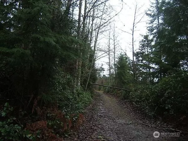 4554 142nd ST NW, Gig Harbor, WA 98332