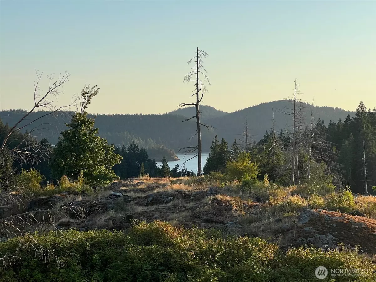 Anacortes, WA 98221,7006 State Route 20