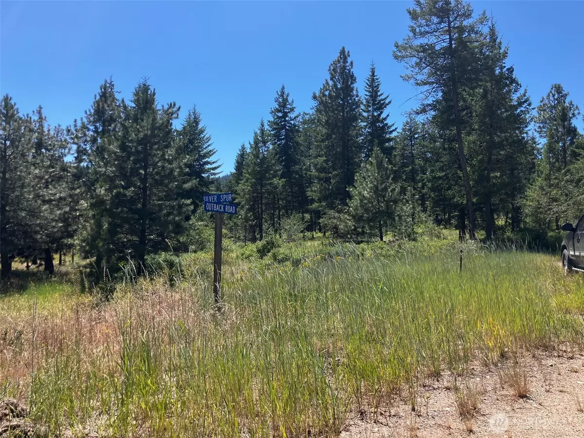 Oroville, WA 98844,25 Outback RD