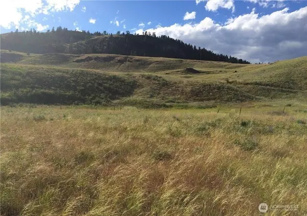 Republic, WA 99166,0 Lot 3 Trestle View RD