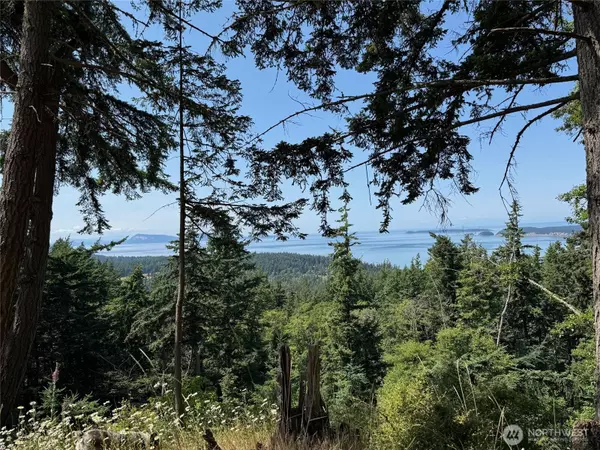 Orcas Island, WA 98245,540 Wright RD