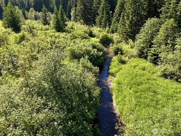 Easton, WA 98925,0 Stampede Pass RD