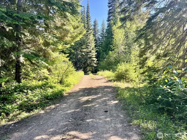 Easton, WA 98925,0 Stampede Pass RD