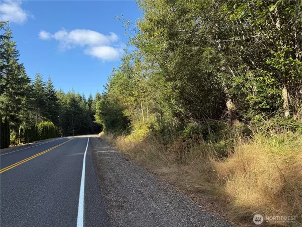 Belfair, WA 98528,2 Lot E Rasor (& E Trails End) RD