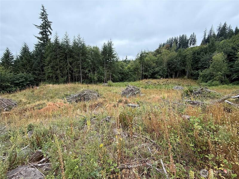 191 Northridge RD, Longview, WA 98632