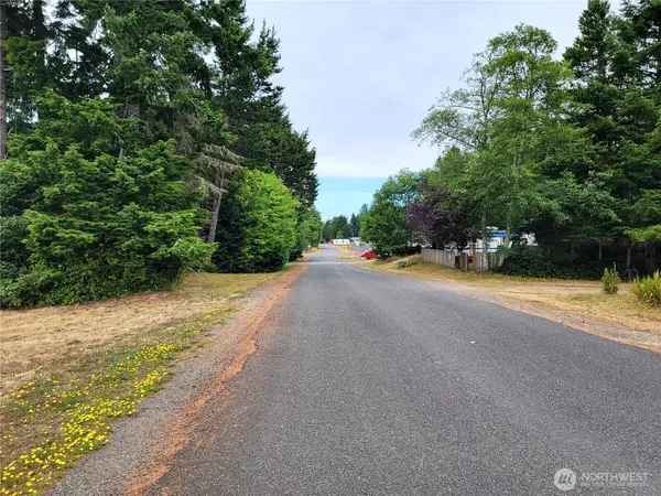 Ocean Park, WA 98640,24313 Gile PL