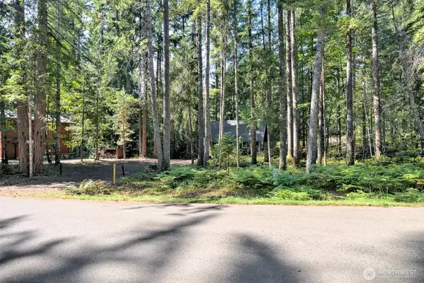 Hoodsport, WA 98548,331 N Wynoochee DR