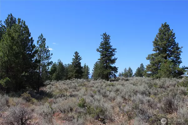East Wenatchee, WA 98802,202 Falcon Ridge RD