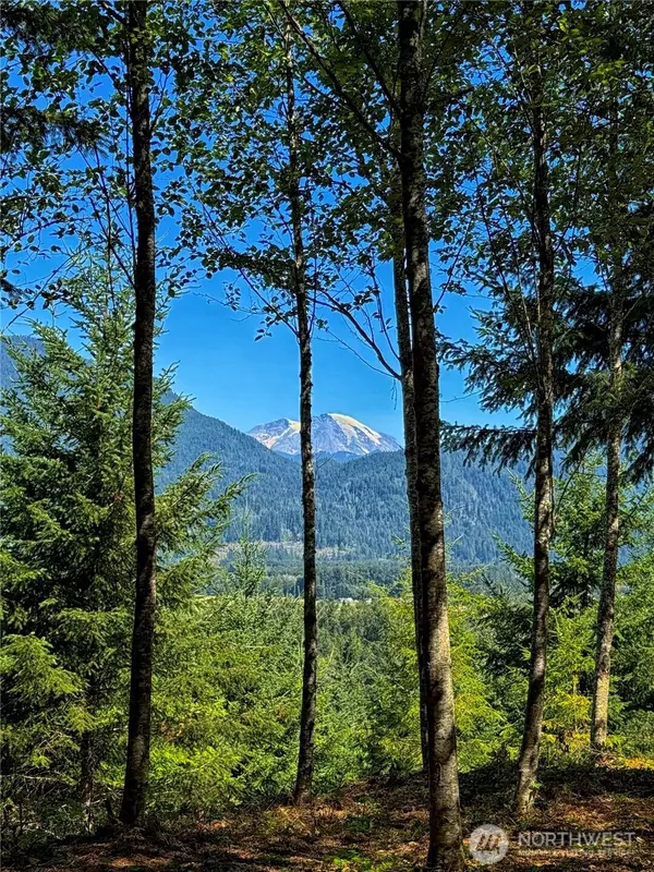Randle, WA 98377,1 Skinner RD